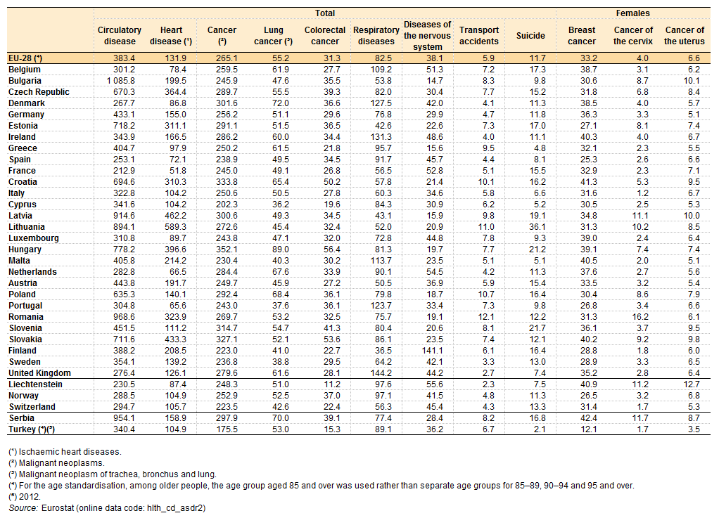 Causes of death standardised death rate 2013