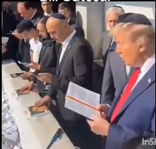 trump moli